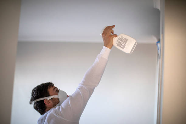Best Mold Cleaning Services  in Fruit Hill, OH